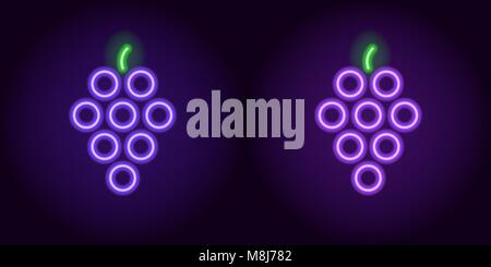 Blue and purple neon grape. Vector silhouette of neon grape vine consisting of outlines, with backlight on the dark background Stock Vector