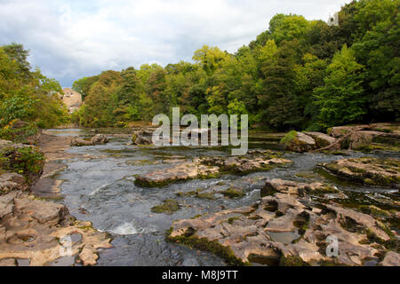 Aysgarth lower falls on the River Ure, Yorkshire Dales National Park, North Yorkshire, England Stock Photo