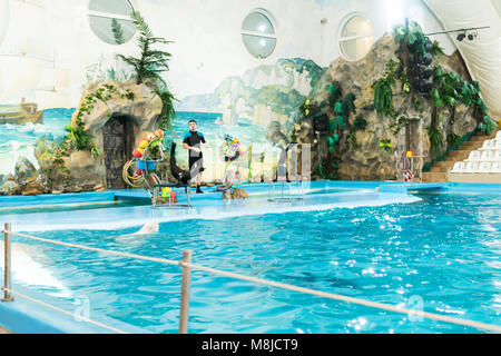 Kharkov, Ukraine - January 18, 2018: Performance of the fur seals. Show in the Kharkov Dolphinarium with the participation of two fur seals balancing  Stock Photo