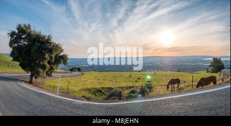 Sharp Curve and Downhill to Silicon Valley with Farm and Horses on the Right at Sunset Stock Photo
