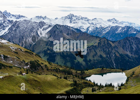 Lake Seealpsee in the mountain landscape of the Allgau Alps above of Oberstdorf, Germany and a black bird Stock Photo