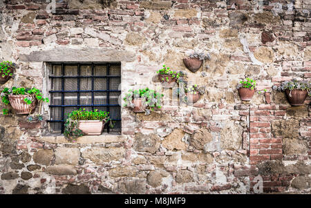 Flowers on a wall somewhere in Tuscany Stock Photo - Alamy