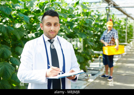 Work in hothouse Stock Photo