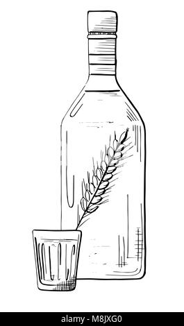 Sketch bottle of vodka. Sketch of glass with vodka. Vector illustration ...