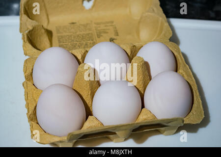 6 duck eggs Stock Photo