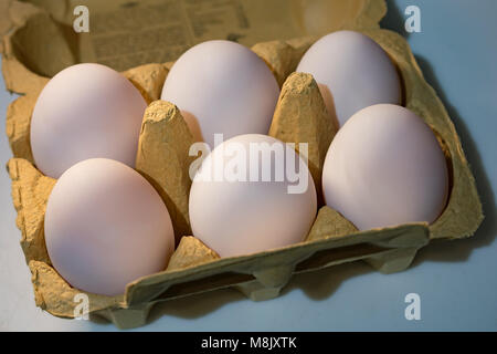 6 duck eggs Stock Photo