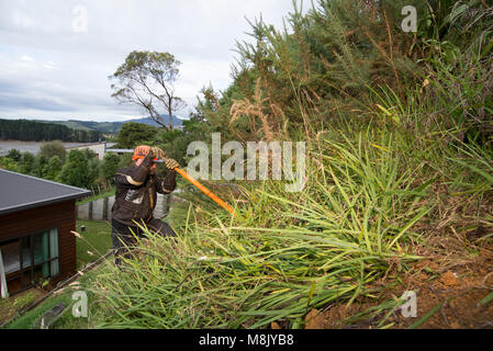 Man removing weeds from hill Stock Photo