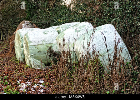 Wrapped Bales of Hay Stock Photo