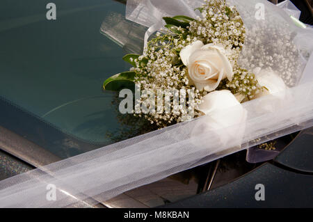 Double decoration positioned on a car bonnet Stock Photo