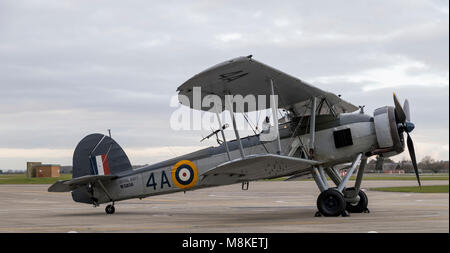 Fairy Swordfish W5856/4A Stock Photo