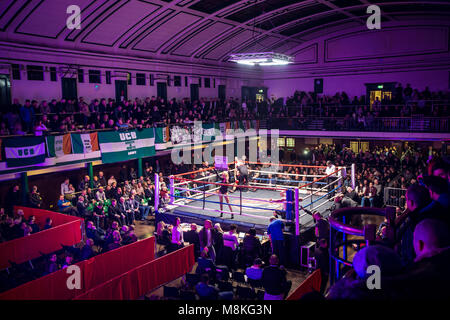 York Hall, Bethnal Green London, UK Stock Photo