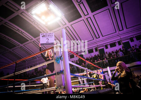 Ring girl at York Hall, Bethnal Green Stock Photo