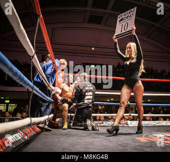 Ring girl at boxing match, York Hall, London Stock Photo