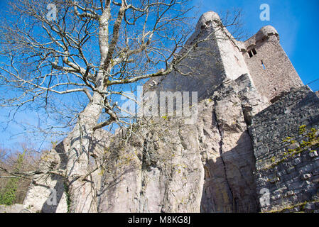 castle ruin in the heights of Baden-Baden Stock Photo