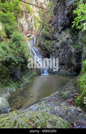Valea lui Stan Gorge, Romania Stock Photo: 71216986 - Alamy