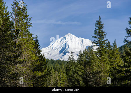 Snow capped Mount Hood seen through the green forests of the Mt Hood National Forest, Oregon, USA Stock Photo