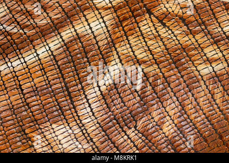 Bright texture of genuine leather close-up, embossed under skin reptile, beige brown shades, exotic reptile Stock Photo