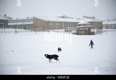 18th March 2018, Poundbury, Dorchester, Dorset, England. UK Weather. People in Dorchester in Dorset exercising their dog on the Great Field, Poundbury as the heavy snow falls caused by the cold air from the Beast From The East  © David Partridge / Alamy Live News Stock Photo