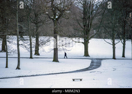 Leeds, Yorkshire, UK. 18th Mar, 2018. People seen using their sleds in the snow in Roundhay Park.Freezing weather conditions dubbed the 'Beast from the East' brings snow and sub-zero temperatures to the UK. Credit: Rahman Hassani/SOPA Images/ZUMA Wire/Alamy Live News Stock Photo