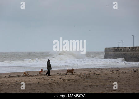 Ramsgate, Kent, UK 18th March, 2018 man and three dogs walk on the beach in a storm. Sue Holness Credit: Sue Holness/Alamy Live News Stock Photo