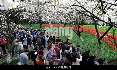 Hangzhou, China's Zhejiang Province. 17th Mar, 2018. People view flowers at Taiziwan Park in Hangzhou, capital of east China's Zhejiang Province, March 17, 2018. Credit: Li Zhong/Xinhua/Alamy Live News Stock Photo