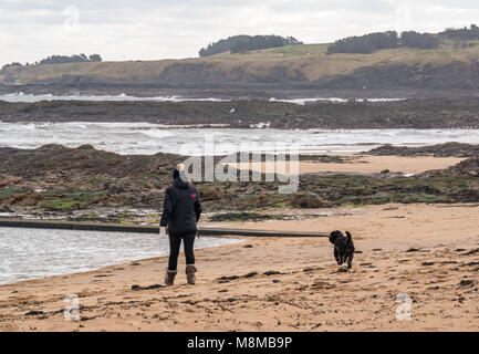 North Berwick, East Lothian, Scotland, United Kingdom, 19th March 2018. Very cold windy morning with a dog walker on the sandy beach at Milsey Bay Stock Photo