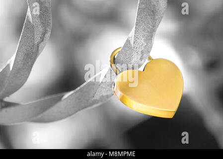 A metallic heart shaped love padlock isolated on black and white background. Clipping path available Stock Photo