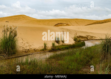 Giant Sand Dunes, Te Paki, Cape Reinga, North Island, New Zealand Stock Photo