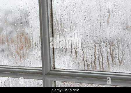 Condensation on single pane wooden sash windows during cold weather, Dorset UK Stock Photo