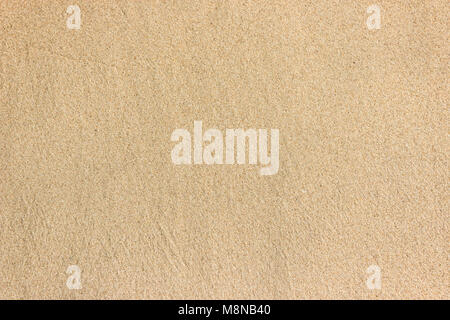 clear wet sands beach texture background Stock Photo