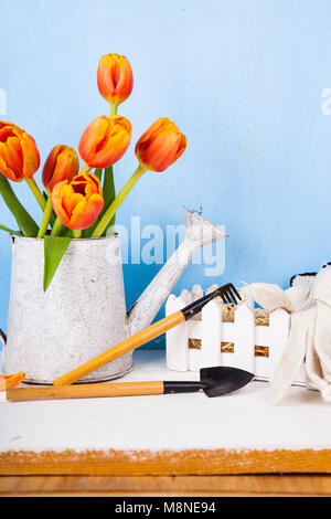 Garden tools and bouquet of tulips on the table. Getting ready for planting vegetables. Stock Photo