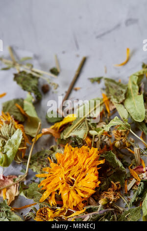 Motley grass on light textured background, close-up, shallow depth of field, selective focus, macro. Alternative medicine. Spa natural concept. Dayspa Stock Photo