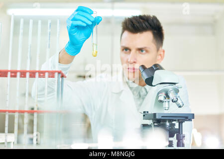 Young Researcher Concentrated on Work Stock Photo