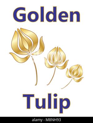 a vector illustration in eps 10 format of a metallic golden tulip design with a stylized flower and blue and gold type on a white background Stock Vector