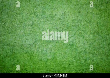 Beautiful decorative green concrete wall or painted stucco Stock Photo