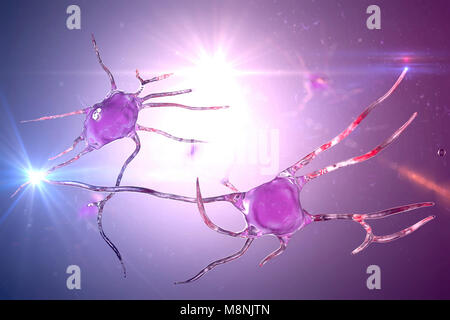 Nerve cells with synapses. Computer illustration of two nerve cells, or ...
