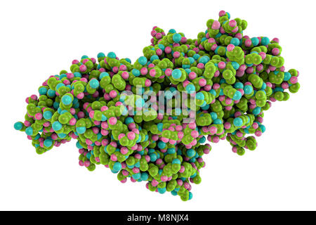 Molecular model of phosphodiesterase snake venom from the Taiwan cobra (Naja atra atra). Stock Photo