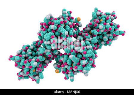 Molecular model of the snake venom toxin convulxin, found in the tropical rattlesnake (Crotalus durissus terrificus). This toxin causes blood clot formation. Stock Photo