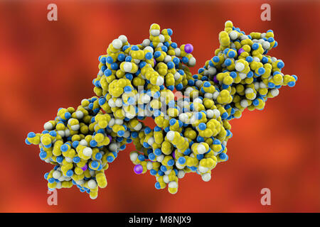 Molecular model of the snake venom toxin convulxin, found in the tropical rattlesnake (Crotalus durissus terrificus). This toxin causes blood clot formation. Stock Photo