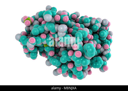 Molecular model of metalloproteinase snake venom from an Eastern diamondback rattlesnake (Crotalus adamanteus). Stock Photo