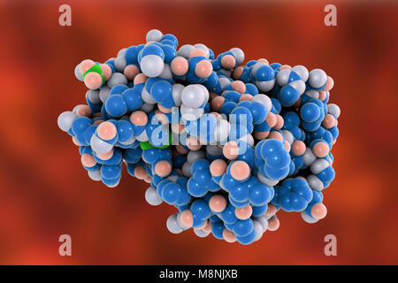 Molecular model of metalloproteinase snake venom from an Eastern diamondback rattlesnake (Crotalus adamanteus). Stock Photo