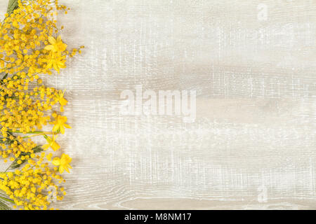 Mimosa and yellow daffodils on a light wooden surface. Yellow orange flowers concept, top view, copy space,  in yellow tones on a wooden surface Stock Photo
