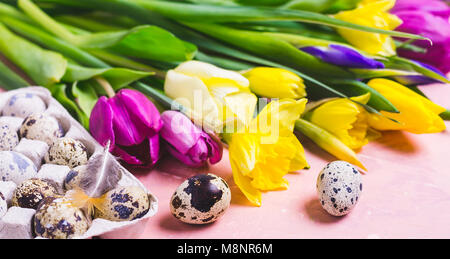 Multicolored tulips and daffodils flowers. Happy Easter banner. Stock Photo