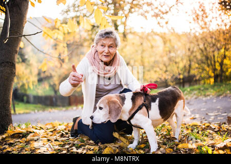 An elderly woman with dog on a walk in autumn nature. Stock Photo