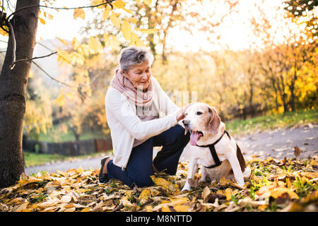 An elderly woman with dog on a walk in autumn nature. Stock Photo