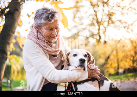 An elderly woman with dog on a walk in autumn nature. Stock Photo