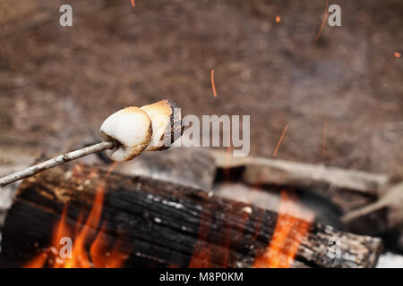 Two toasted marshmallows on a stick over a bonfire at the camp grounds. Stock Photo