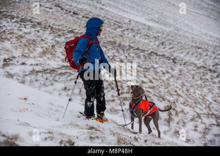 A skier and his dog make the most of the conditions skiing down from summit of Pen-y-fan in the Brecon Beacons National Park. Stock Photo
