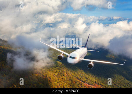 Aerial view of aircraft. Airplane is flying in clouds over mountains with forest at sunset. Landscape with passenger airplane, cloudy sky, trees. Pass