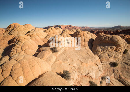 Brain rocks, sandstone formations located in Coyote Buttes North, Paria Canyon, Vermillion Cliffs Wilderness. Stock Photo